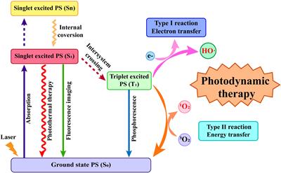 Current Strategies for Tumor Photodynamic Therapy Combined With Immunotherapy